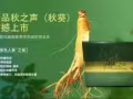 各种情趣，伟哥，延时喷剂