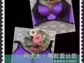 向大大内衣特约总代理全岛送货/招代理，（现在促销中）