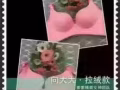 向大大內衣特約總代理全島送貨/招代理，（現在促銷中）