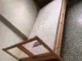 宏茂桥近MRT男搭房，