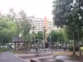 实龙岗北1道,男搭房出租，$250水电网冷气全包，可煮（1GPS 光纤）