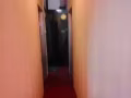 专业贴墙纸，铺地毯