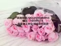 超级好单每日都有更新不成功不收费QQ2608694056
