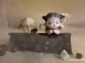 巴士司机单来了！！！更多司机好单，详询QQ3146350141 微信xjplw1