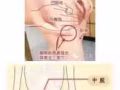 正宗中医推拿$50