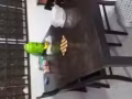 纯实木饭桌椅子，