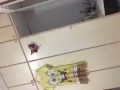 淡濱尼地鐵站附近步行10分鐘，男女搭房，水電網全包，人少安靜，報地址