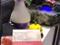 各位朋友，你们辛苦了，如果你一直没有碰到合适你的推拿师，请来这里，不好不收钱?