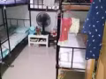 红帽桥步行7分钟到地铁站大牌432有女搭房出租！可报地址！260