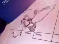 施华洛世奇项链