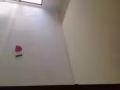 武吉知马公寓女搭房出租房间很大