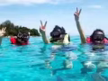 浮潛絕佳！刁曼島3天2晚 送浮潛 包行程餐食！微信LJZ771280