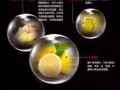 德国延时之王PJUR一瓶只懂男人的喷剂，阳痿早泄的克星。操翻小姐必备