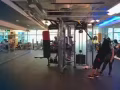 大型瑜伽馆和健身房，免费试课