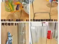 厨房用品！菜刀菜板炒锅电饭锅高脚杯花瓶牙刷锅铲洗菜盆多功能插菜板