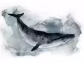 免费教小孩子画画