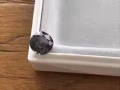 缅甸天然锆石