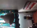 立式台灯转让