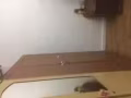 黄铺巴刹附近离文庆地铁口近，离大巴窑诺维娜、合法屋子人少地铁口都很近有女床位出租