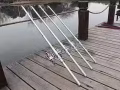 鱼杆便宜处理