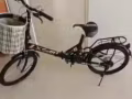 全新折叠自行车