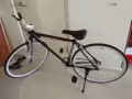 全新自行车