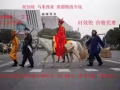 新加坡货运庄家，双清到门/免费仓储/整理，大量收货家具 淘宝货