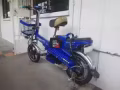 政府批准电动车