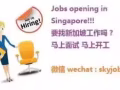 找新加坡工作 其實一點都不難