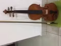 小提琴
