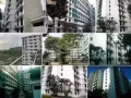  红山 单间租房 Redhill single room rental