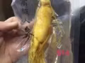 人参，木耳枸杞，川贝，雪蛤等，卖东北特产