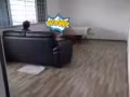 （无中介）Blk602 Yishun st61 寻找1位男搭房 & 1位女搭房