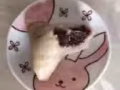 北方纯手工粽子