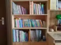 雙層床 書櫃寫字桌