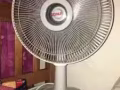 低價處理風扇