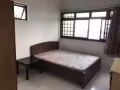 干净安静的房子