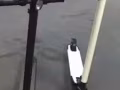 新新滑板