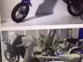 全岛最全电动滑板车