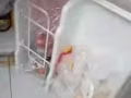 電飯煲一個十元小冰箱五十窗式空調一百回國處理