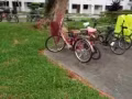 自行車女士.........
