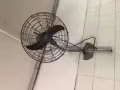 大风扇