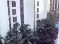 丹娜美拉簡約公寓招女床位四人間
