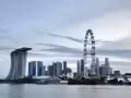 咖啡店跑台（新加坡经验）需要多位~~老雇主~~