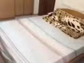干净安静大房出租