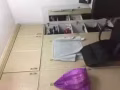 实龙岗地铁三分钟普通房招女搭房