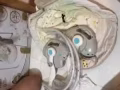 電動搖籃
