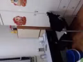 夫妻間出租