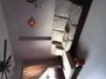 榜鹅主人房出租
