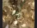 专业 渔网 螃蟹网 地笼  充气船  撒网 